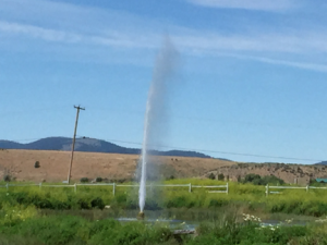 The Geyser at Lakeview